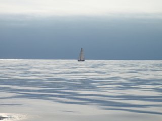 3535563325_506120944c.jpg